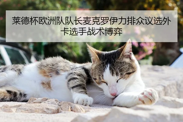 莱德杯欧洲队队长麦克罗伊力排众议选外卡选手战术博弈